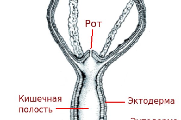 Наркошоп кракен