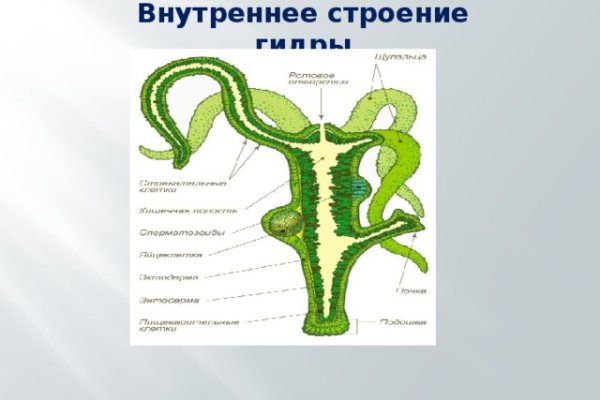 Кракен даркнет kraken014 com